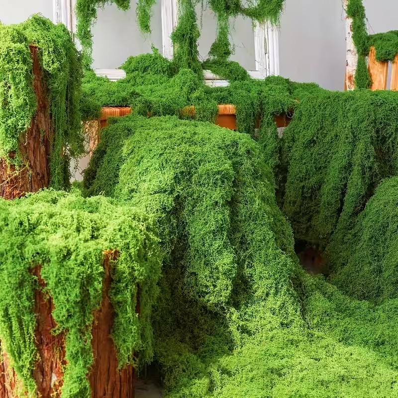 Preserved Moss Sheet - نبات بيونيك عشب الطحلب الاصطناعي الواقعي