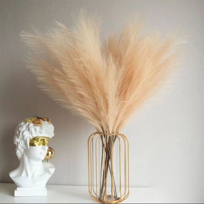 عشب أبهى صناعي ، فروع بومباس ، - مراجعة Florist Supply Vases وسعره