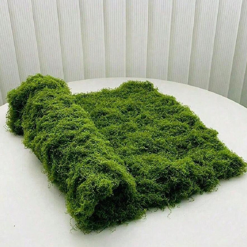 1*1 متر الطحلب وهمية Crafts به - مراجعة Preserved Moss Sheet وسعره